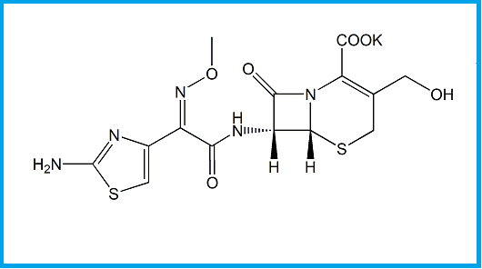 CEFOTAXIME EP IMPURITY B